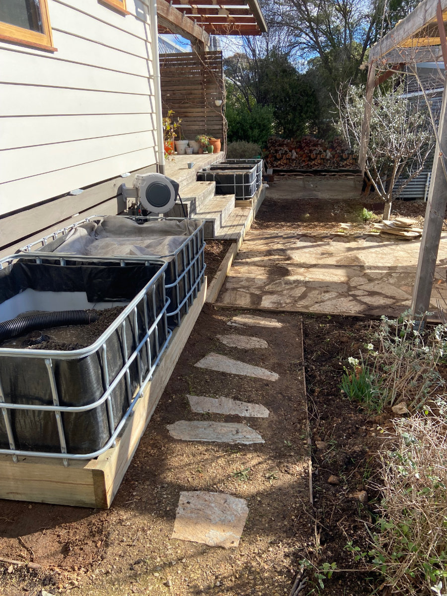Multiple Farmer Phil IBC vegetable wicking beds looking great at Castlemaine in Victoria, Australia