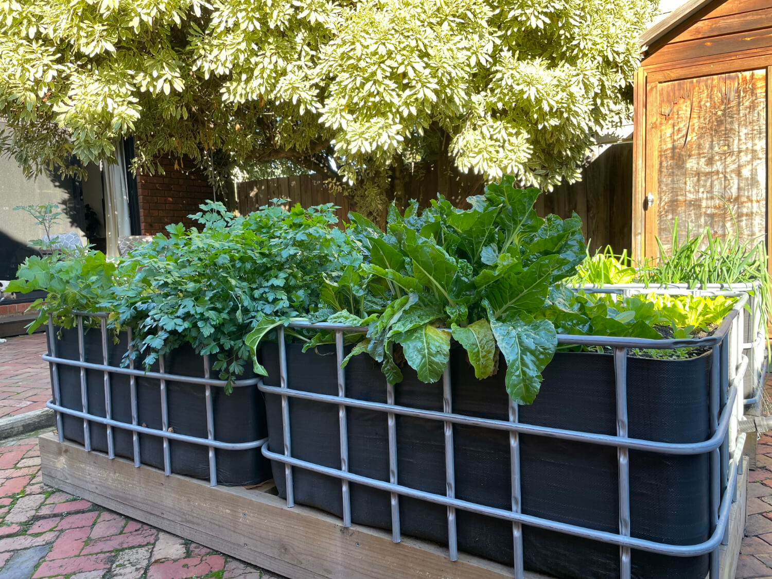 IBC wicking beds in Melbourne built and installed by farmerphil.com.au